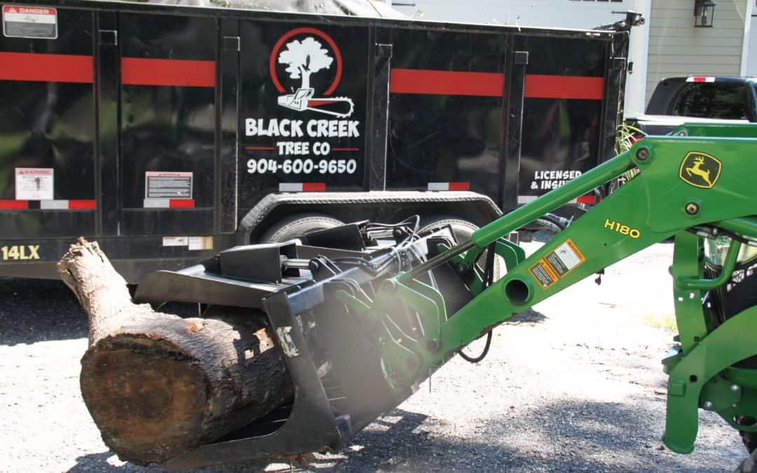 Emergency Storm Damage Tree Service in Jacksonville, FL