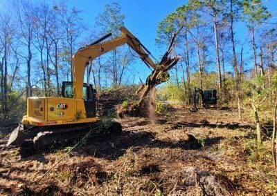 Tree Service Northside