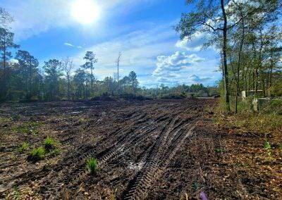 Land Clearing Jacksonville Fl