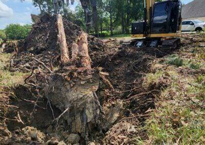 Land Clearing | Land Clearing