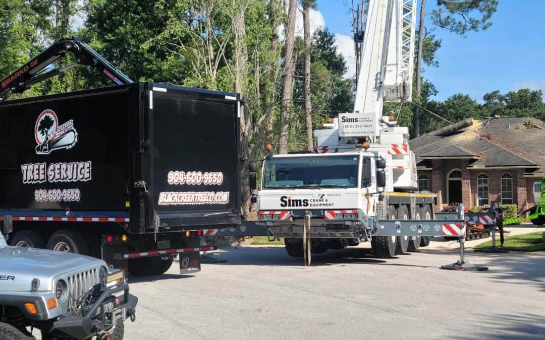 Tree Risk Assessment & Hazard Evaluation Guide