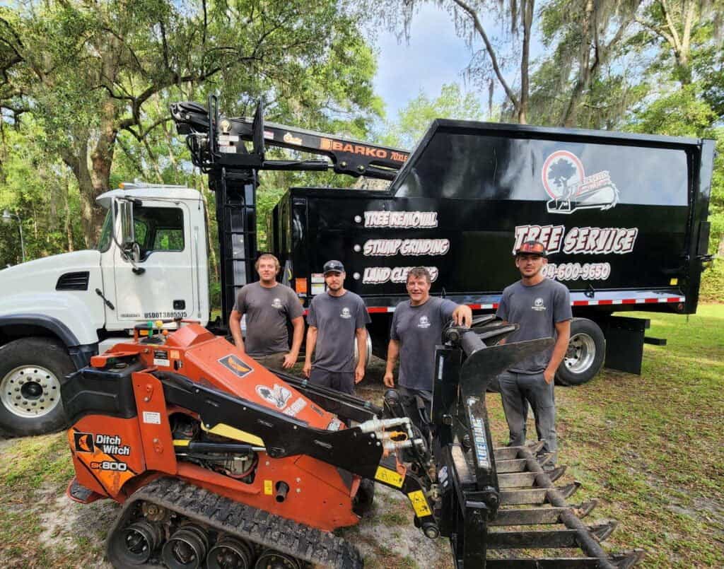 Tree Service Jacksonville FL (904) 2032211