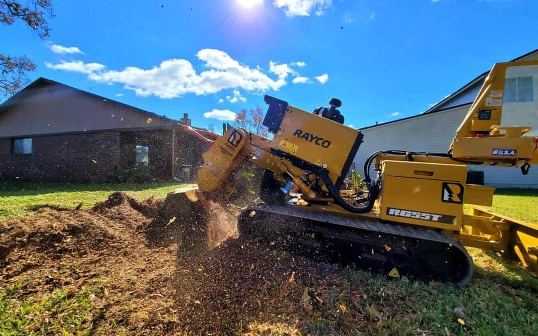 Stump Grinding – Benefits & Process