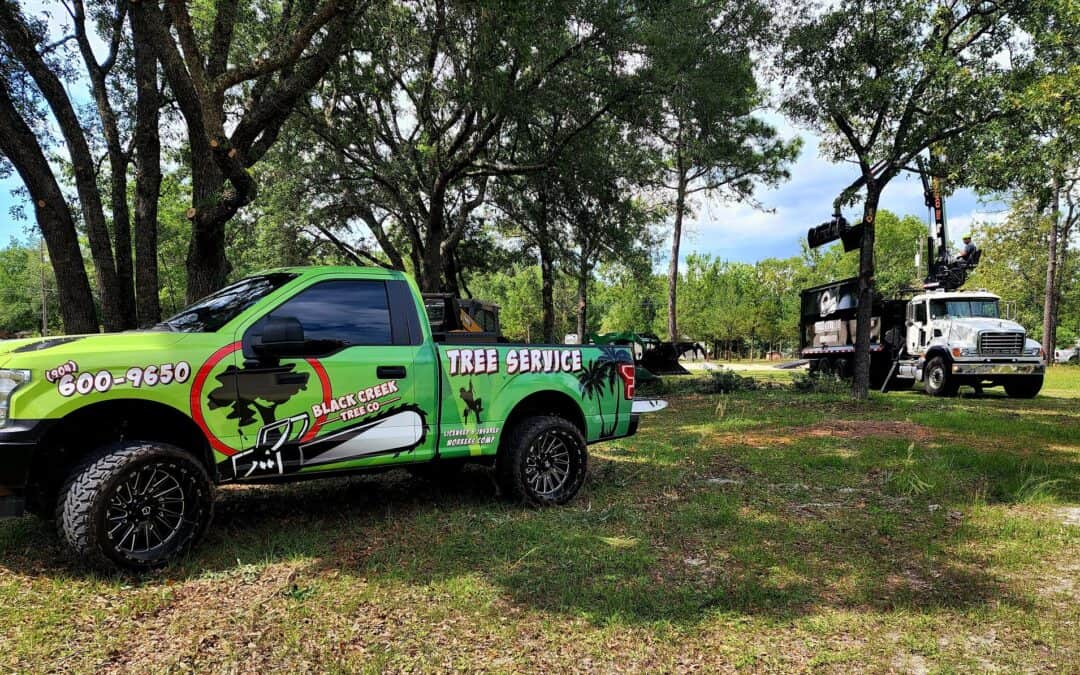 Green Black Creek Tree Co truck and a white bucket truck in the back performing tree services in Springfield