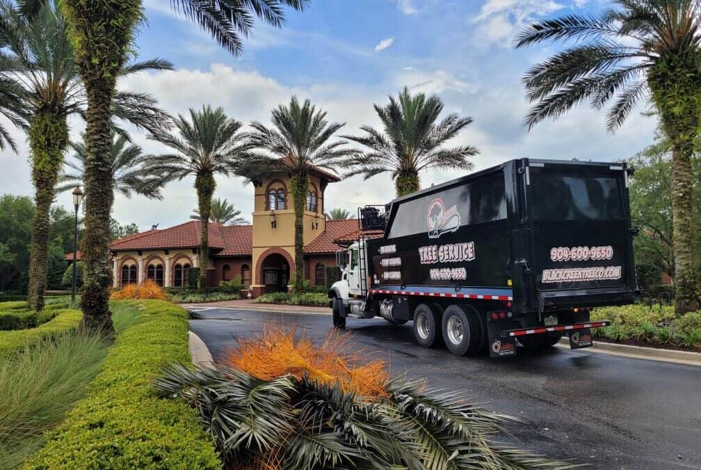 Commercial Tree Services for HOAs & Property Managers