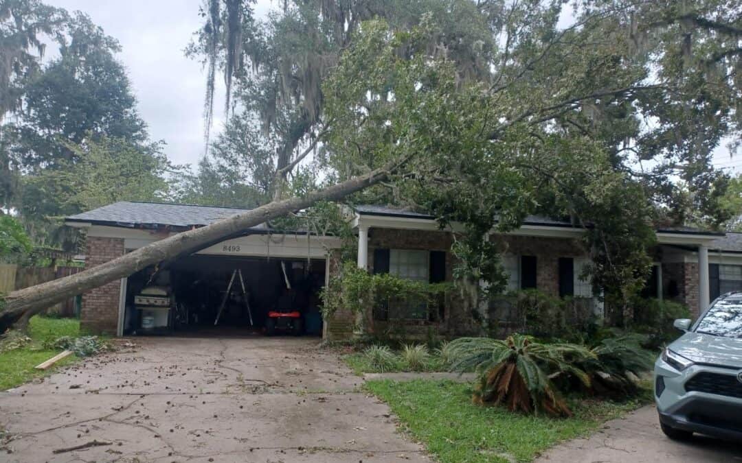 Tree Removal Cost in Jacksonville FL