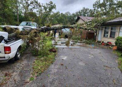 Tree Service Fruit Cove