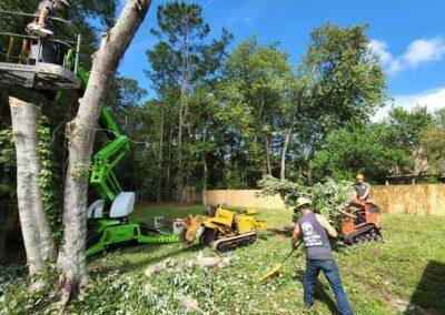 Tree Service Southside Fl