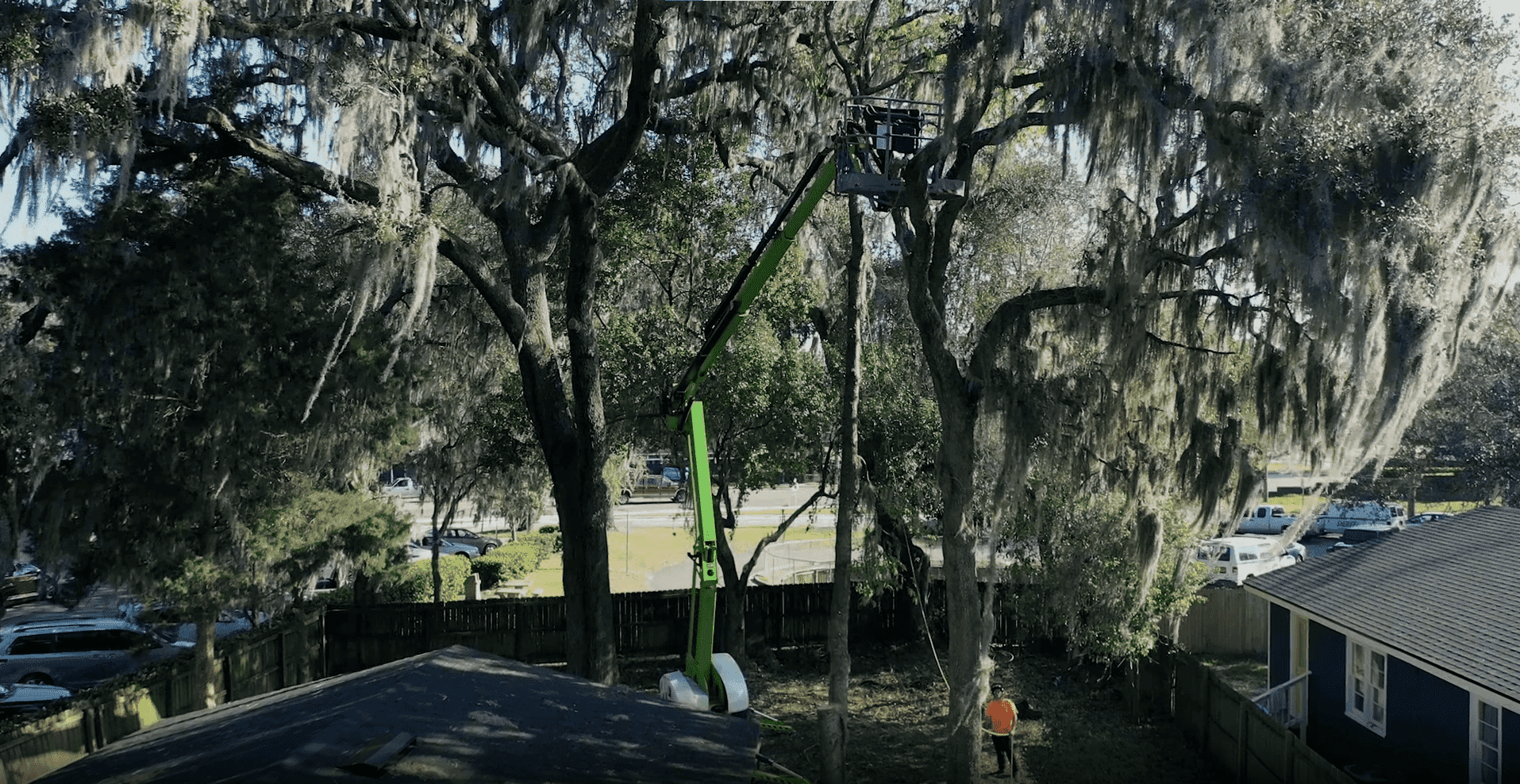 Expert Tree Service In Argyle Forest: Trust The Professionals At Black Creek Tree Co.