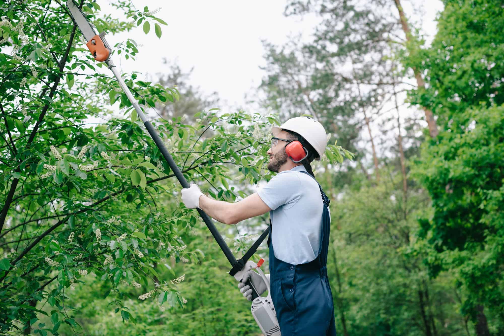 Tree Service Fleming Island