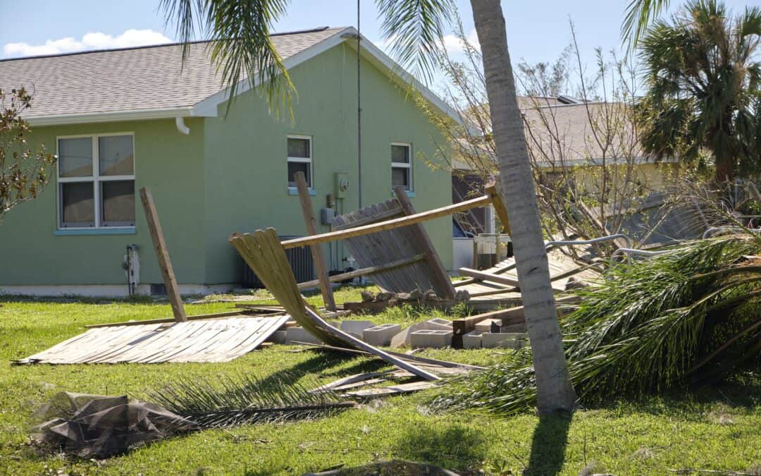 Black Creek Tree Co: Your Ultimate Solution for Tree Debris Removal Services Near Me in Jacksonville, FL