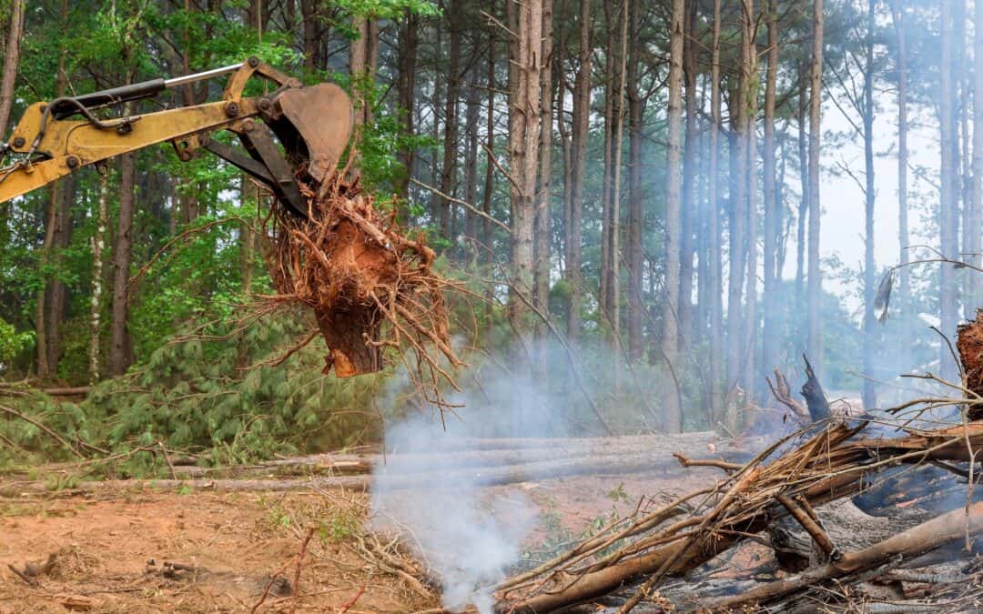 Excavator removing a tree stump from the ground to prepare land for construction