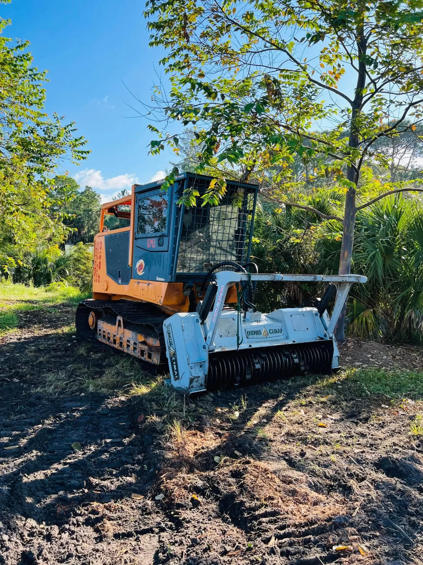 Tree Service Jacksonville